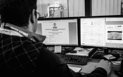 Stage e tirocini: formazione sul territorio e progetti internazionali