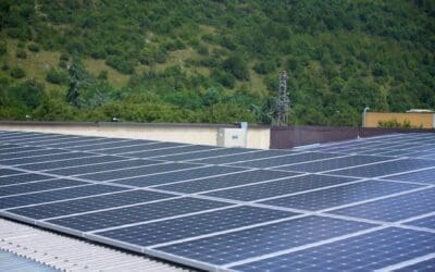 Arten e sostenibilità